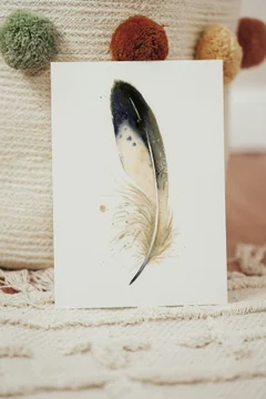 Image of a feather watercolor painting by Shayna Larsen, originals & prints available