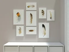 Image of a feather watercolor painting by Shayna Larsen, originals & prints available