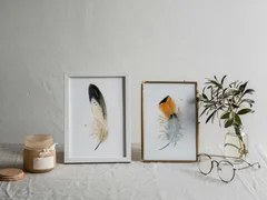 Image of a feather watercolor painting by Shayna Larsen, originals & prints available