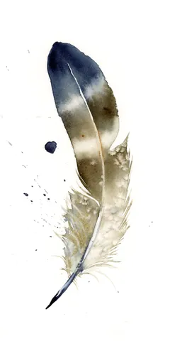 Image of a feather watercolor painting by Shayna Larsen, originals & prints available