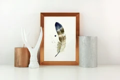 Image of a feather watercolor painting by Shayna Larsen, originals & prints available