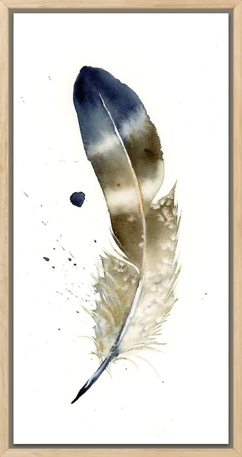 Image of a feather watercolor painting by Shayna Larsen, originals & prints available