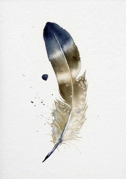 Image of a feather watercolor painting by Shayna Larsen, originals & prints available
