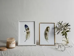 Image of a feather watercolor painting by Shayna Larsen, originals & prints available