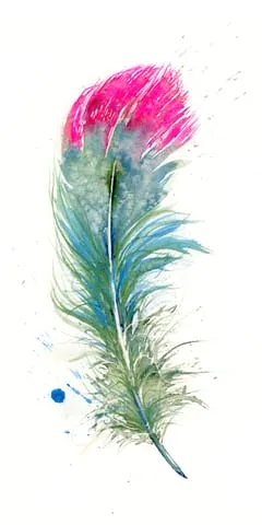 Image of a feather watercolor painting by Shayna Larsen, originals & prints available