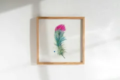 Image of a feather watercolor painting by Shayna Larsen, originals & prints available