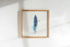 Image of a feather watercolor painting by Shayna Larsen, originals & prints available