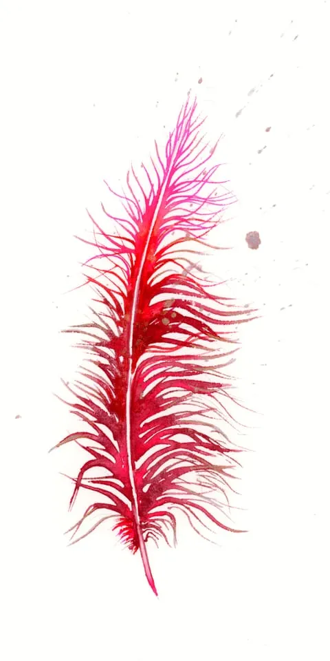 Image of a feather watercolor painting by Shayna Larsen, originals & prints available
