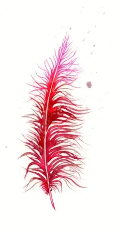 Image of a feather watercolor painting by Shayna Larsen, originals & prints available