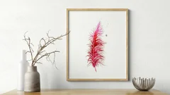 Image of a feather watercolor painting by Shayna Larsen, originals & prints available
