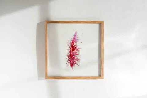 Image of a feather watercolor painting by Shayna Larsen, originals & prints available