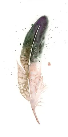 Image of a feather watercolor painting by Shayna Larsen, originals & prints available