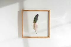 Image of a feather watercolor painting by Shayna Larsen, originals & prints available