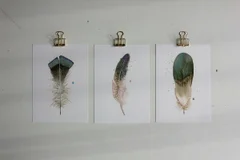 Image of a feather watercolor painting by Shayna Larsen, originals & prints available