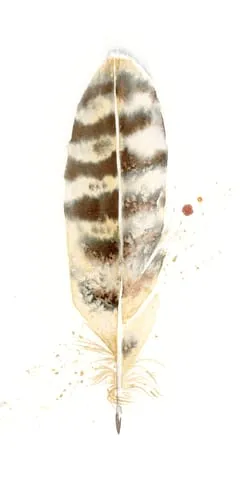 Image of a feather watercolor painting by Shayna Larsen, originals & prints available