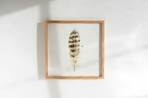 Image of a feather watercolor painting by Shayna Larsen, originals & prints available