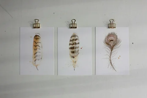 Image of a feather watercolor painting by Shayna Larsen, originals & prints available