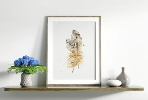 Image of a feather watercolor painting by Shayna Larsen, originals & prints available