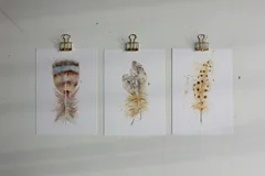 Image of a feather watercolor painting by Shayna Larsen, originals & prints available