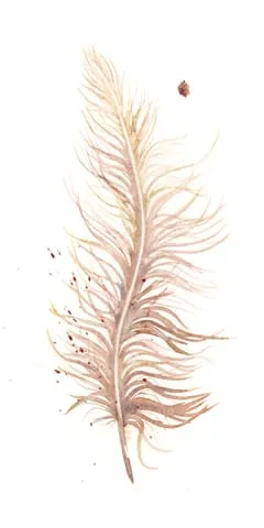 Image of a feather watercolor painting by Shayna Larsen, originals & prints available