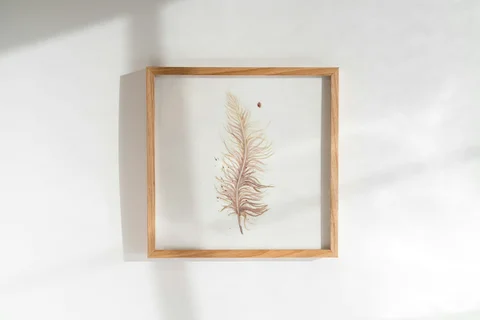 Image of a feather watercolor painting by Shayna Larsen, originals & prints available