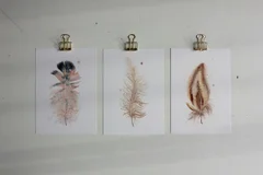 Image of a feather watercolor painting by Shayna Larsen, originals & prints available