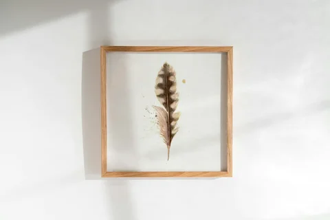 Image of a feather watercolor painting by Shayna Larsen, originals & prints available