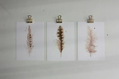 Image of a feather watercolor painting by Shayna Larsen, originals & prints available