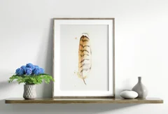 Image of a feather watercolor painting by Shayna Larsen, originals & prints available