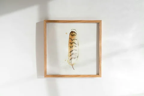 Image of a feather watercolor painting by Shayna Larsen, originals & prints available