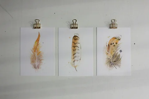 Image of a feather watercolor painting by Shayna Larsen, originals & prints available