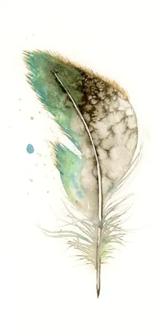 Image of a feather watercolor painting by Shayna Larsen, originals & prints available