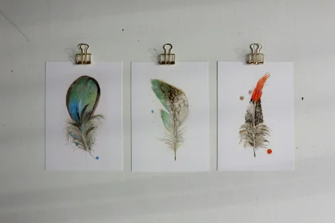 Image of a feather watercolor painting by Shayna Larsen, originals & prints available