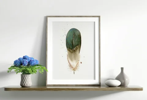 Image of a feather watercolor painting by Shayna Larsen, originals & prints available