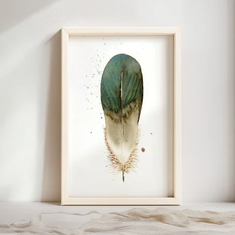 Image of a feather watercolor painting by Shayna Larsen, originals & prints available