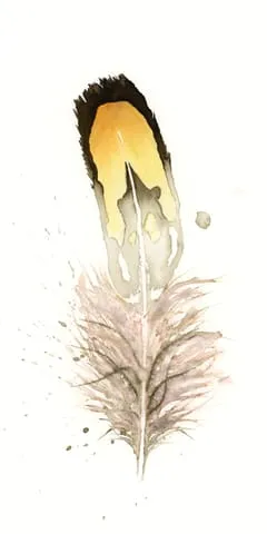 Image of a feather watercolor painting by Shayna Larsen, originals & prints available