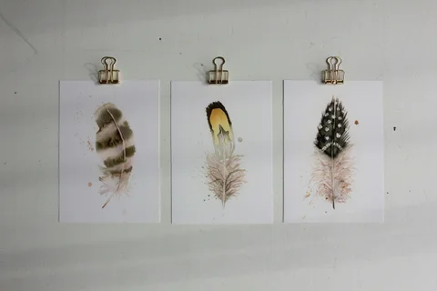 Image of a feather watercolor painting by Shayna Larsen, originals & prints available