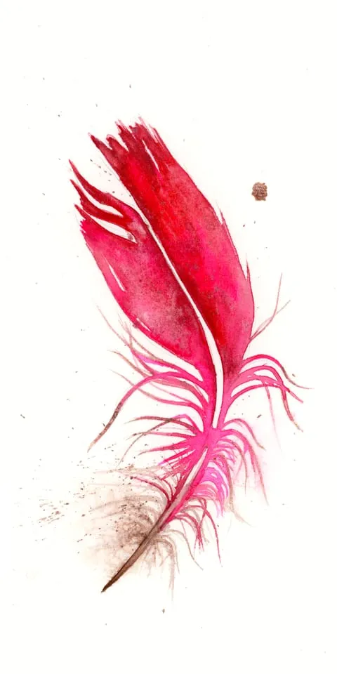 Image of a feather watercolor painting by Shayna Larsen, originals & prints available