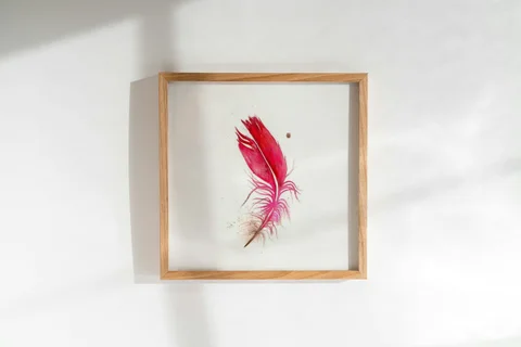 Image of a feather watercolor painting by Shayna Larsen, originals & prints available