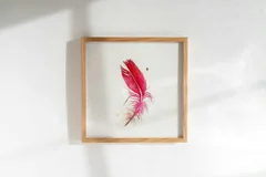 Image of a feather watercolor painting by Shayna Larsen, originals & prints available