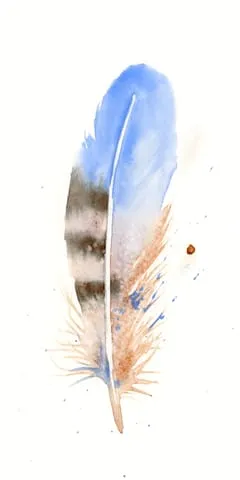 Image of a feather watercolor painting by Shayna Larsen, originals & prints available