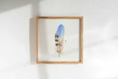 Image of a feather watercolor painting by Shayna Larsen, originals & prints available