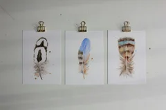 Image of a feather watercolor painting by Shayna Larsen, originals & prints available