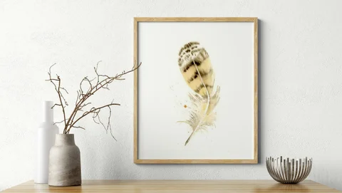 Image of a feather watercolor painting by Shayna Larsen, originals & prints available