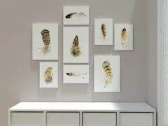 Image of a feather watercolor painting by Shayna Larsen, originals & prints available