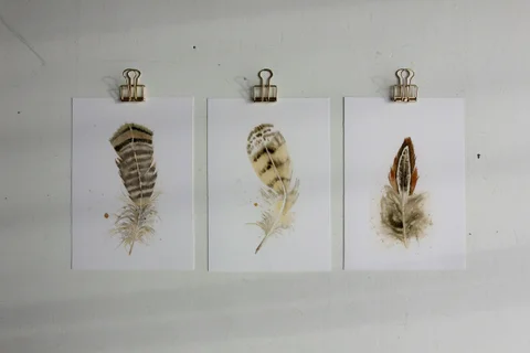 Image of a feather watercolor painting by Shayna Larsen, originals & prints available