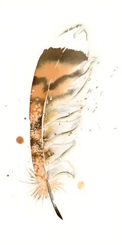 Image of a feather watercolor painting by Shayna Larsen, originals & prints available