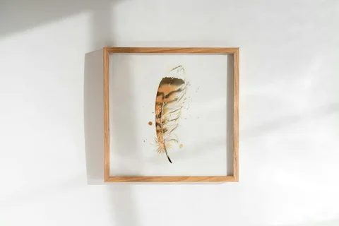 Image of a feather watercolor painting by Shayna Larsen, originals & prints available