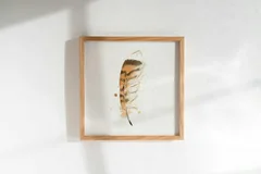 Image of a feather watercolor painting by Shayna Larsen, originals & prints available
