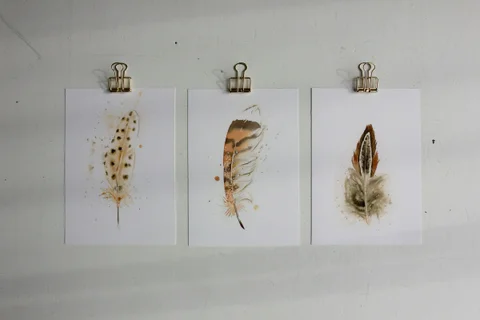 Image of a feather watercolor painting by Shayna Larsen, originals & prints available